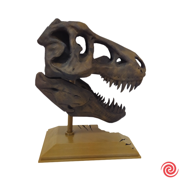 NUEVO 3D Figura Jurassic Park Craneo Museo T-Rex con Base