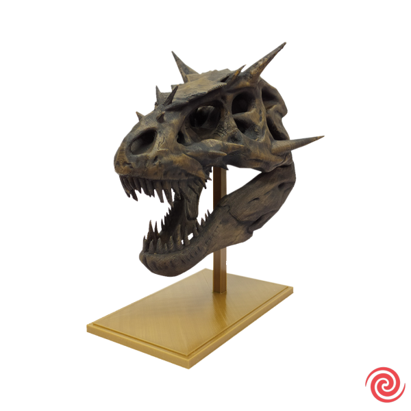 3D Figura Craneo Museo T-Rex Dragon con Base