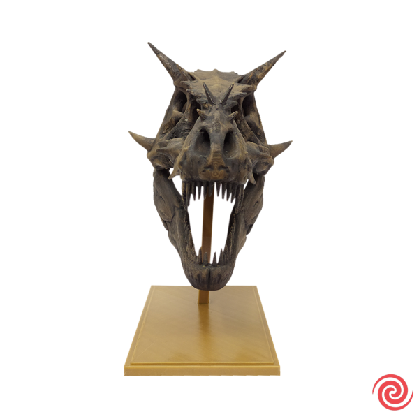 3D Figura Craneo Museo T-Rex Dragon con Base