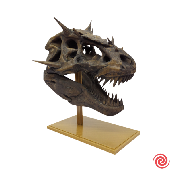 3D Figura Craneo Museo T-Rex Dragon con Base