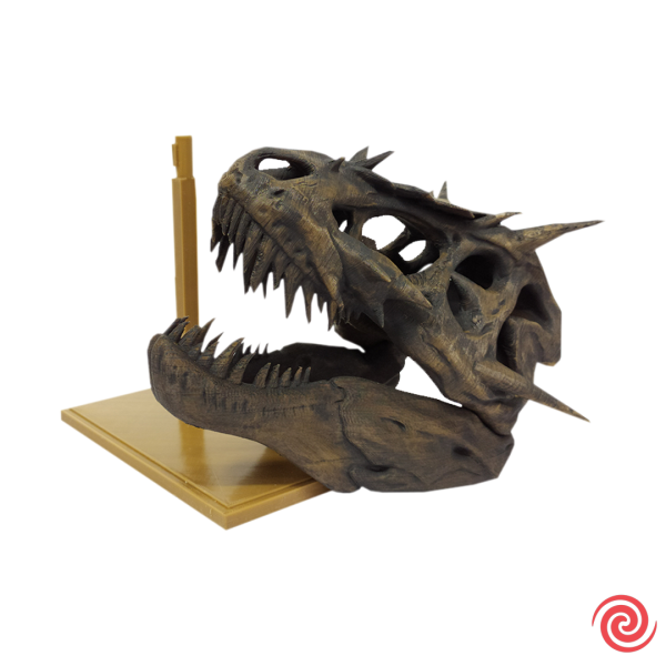 3D Figura Craneo Museo T-Rex Dragon con Base