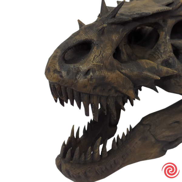 3D Figura Craneo Museo T-Rex Dragon con Base