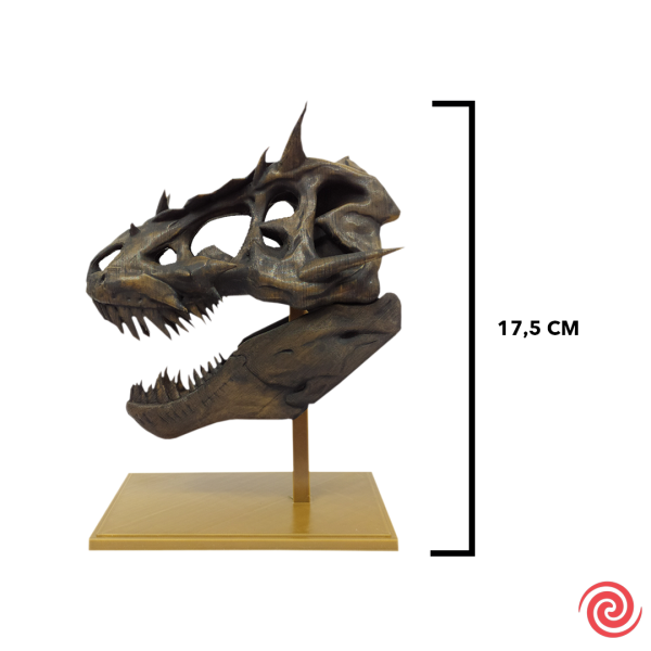 3D Figura Craneo Museo T-Rex Dragon con Base