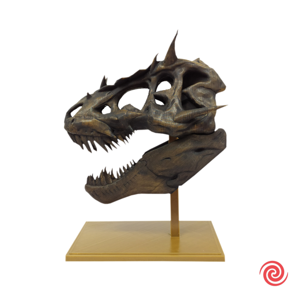 3D Figura Craneo Museo T-Rex Dragon con Base