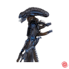 Figura Kaiyodo Revoltech SFX Alien Alien Warrior #016 Loose