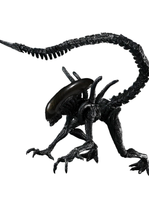 Figura Bandai S.H.MonsterArts Alien Vs Predator Alien Warrior