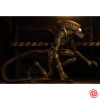 Figura Neca Alien 3 Dog Alien
