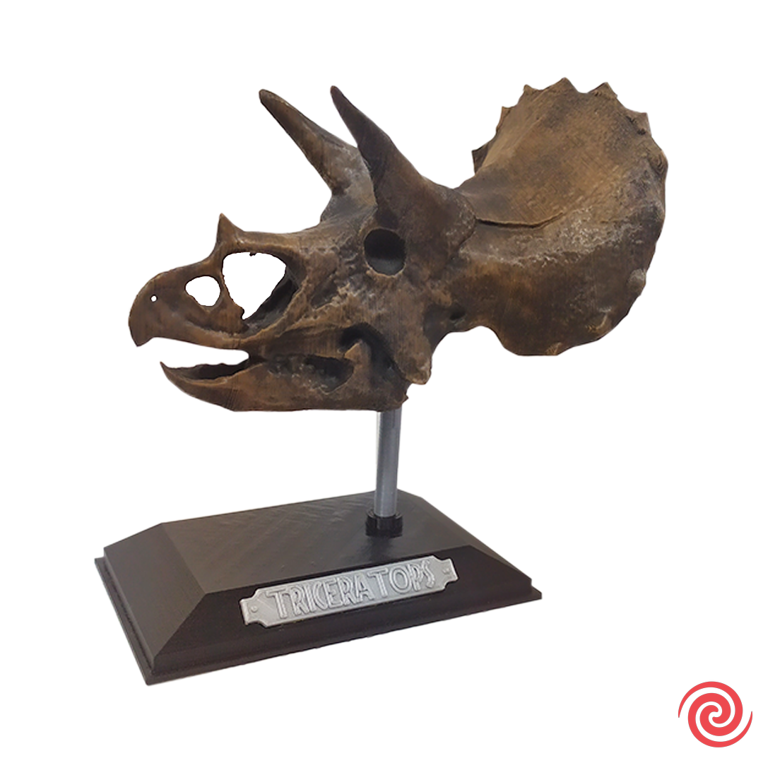 3D Figura Jurassic Park Craneo Museo Triceratops con Base