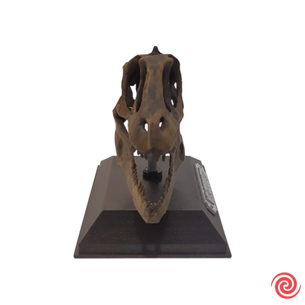 3D Figura Jurassic Park Craneo Museo Velociraptor con Base